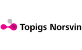 topigs-norsvin